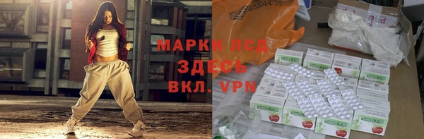 стаф Баксан
