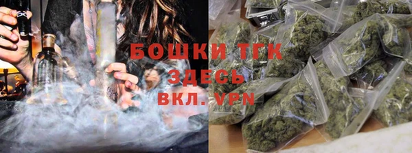 крисы Армянск