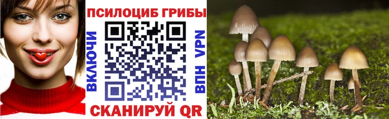 Купить  Балтийск  Галлюциногенные грибы Cubensis 