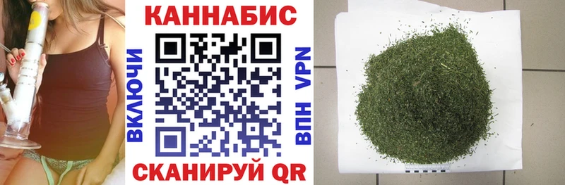 Каннабис OG Kush  Купить  Балтийск 